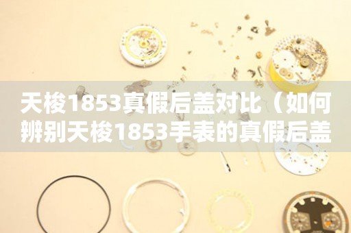 天梭1853真假后盖对比（如何辨别天梭1853手表的真假后盖）