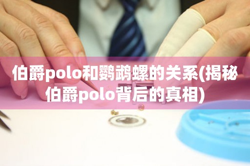 伯爵polo和鹦鹉螺的关系(揭秘伯爵polo背后的真相)