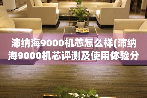 沛纳海9000机芯怎么样(沛纳海9000机芯评测及使用体验分享)