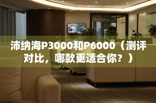 沛纳海P3000和P6000（测评对比，哪款更适合你？）