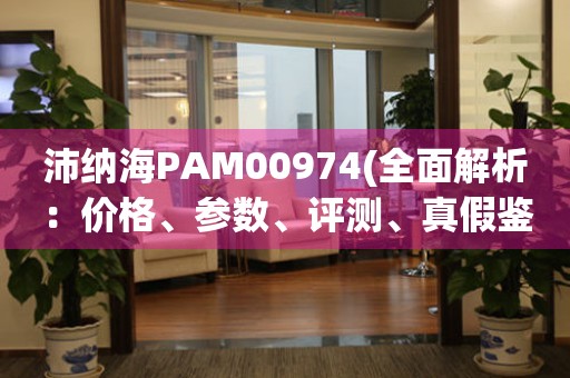 沛纳海PAM00974(全面解析：价格、参数、评测、真假鉴别)