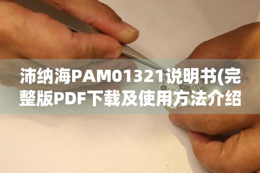 沛纳海PAM01321说明书(完整版PDF下载及使用方法介绍)