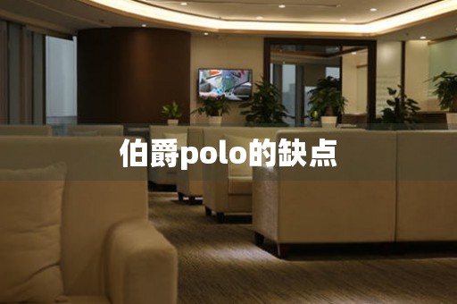 伯爵polo的缺点