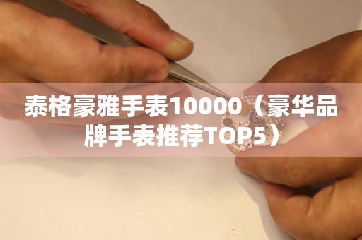 泰格豪雅手表10000（豪华品牌手表推荐TOP5）