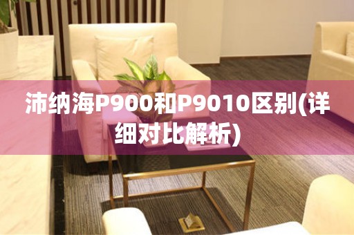 沛纳海P900和P9010区别(详细对比解析)