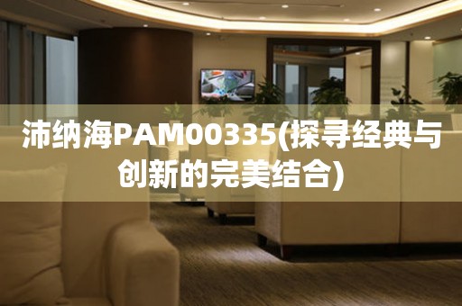 沛纳海PAM00335(探寻经典与创新的完美结合)