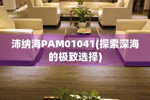 沛纳海PAM01041(探索深海的极致选择)