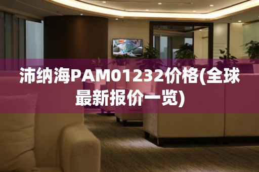 沛纳海PAM01232价格(全球最新报价一览)