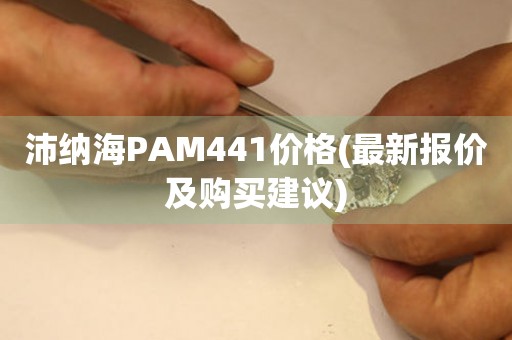 沛纳海PAM441价格(最新报价及购买建议)