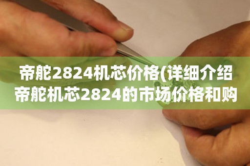 帝舵2824机芯价格(详细介绍帝舵机芯2824的市场价格和购买建议)