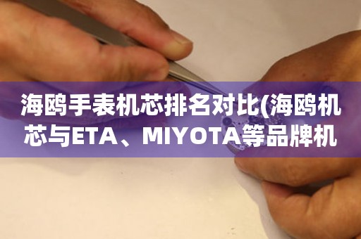 海鸥手表机芯排名对比(海鸥机芯与ETA、MIYOTA等品牌机芯的性价比分析)