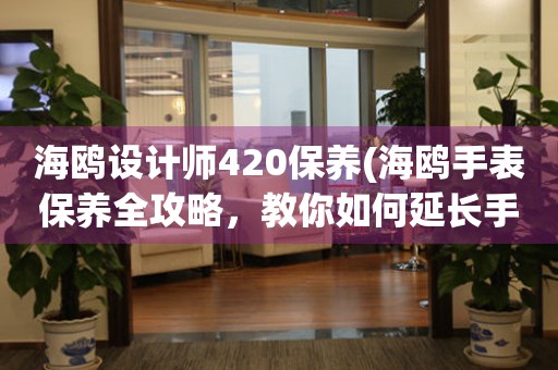 海鸥设计师420保养(海鸥手表保养全攻略，教你如何延长手表寿命)