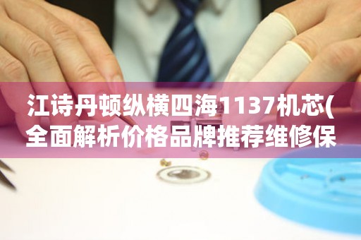 江诗丹顿纵横四海1137机芯(全面解析价格品牌推荐维修保养攻略)