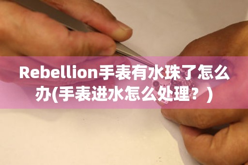 Rebellion手表有水珠了怎么办(手表进水怎么处理？)