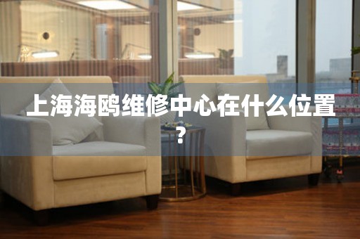 上海海鸥维修中心在什么位置?