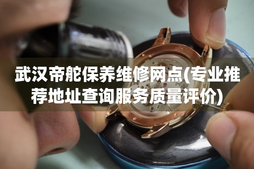 武汉帝舵保养维修网点(专业推荐地址查询服务质量评价)