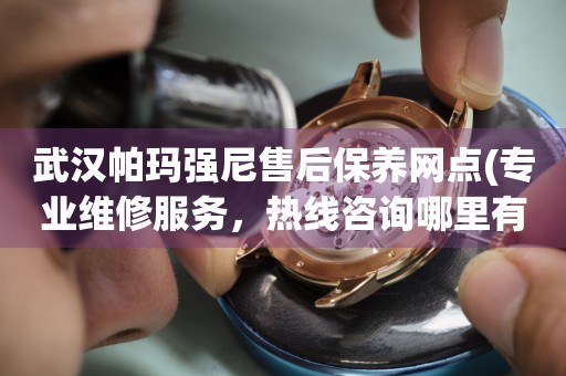 武汉帕玛强尼售后保养网点(专业维修服务，热线咨询哪里有)