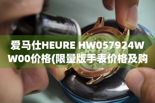 爱马仕HEURE HW057924WW00价格(限量版手表价格及购买攻略)