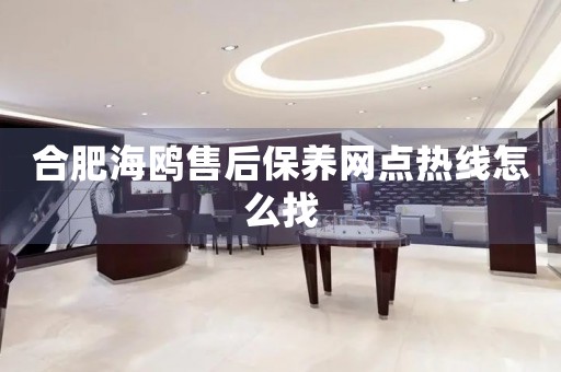 合肥海鸥售后保养网点热线怎么找