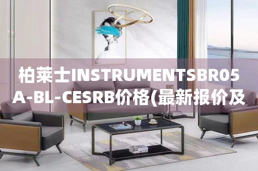 柏莱士INSTRUMENTSBR05A-BL-CESRB价格(最新报价及购买指南)