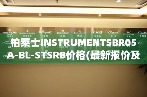 柏莱士INSTRUMENTSBR05A-BL-STSRB价格(最新报价及购买指南)