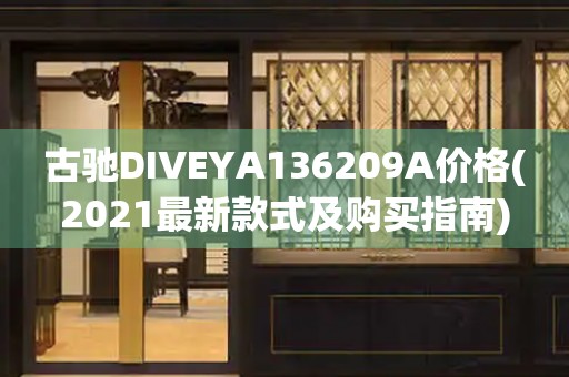 古驰DIVEYA136209A价格(2021最新款式及购买指南)