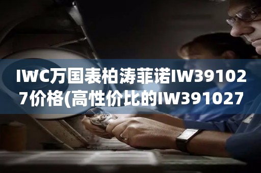 IWC万国表柏涛菲诺IW391027价格(高性价比的IW391027价格推荐)