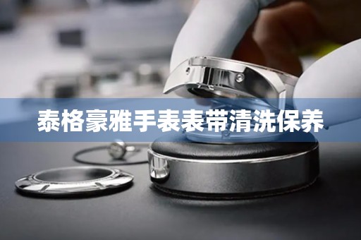 泰格豪雅手表表带清洗保养