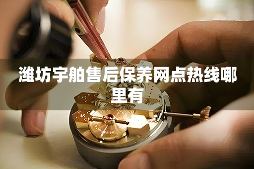 潍坊宇舶售后保养网点热线哪里有