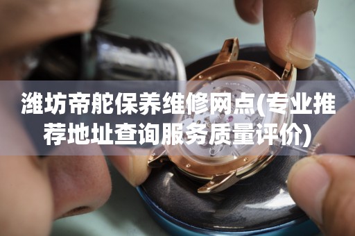 潍坊帝舵保养维修网点(专业推荐地址查询服务质量评价)