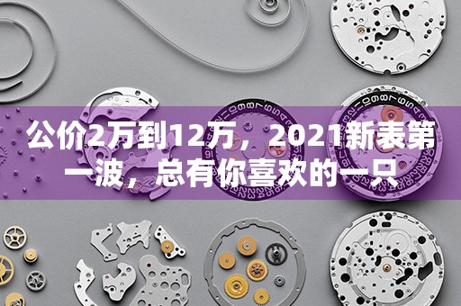 公价2万到12万，2021新表第一波，总有你喜欢的一只