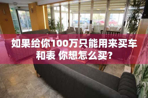 如果给你100万只能用来买车和表 你想怎么买？