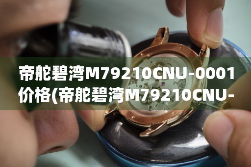 帝舵碧湾M79210CNU-0001价格(帝舵碧湾M79210CNU-0001价格查询以及购买攻略)