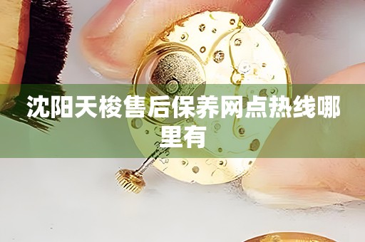 沈阳天梭售后保养网点热线哪里有