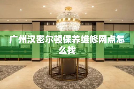 广州汉密尔顿保养维修网点怎么找