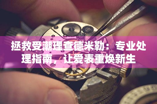 拯救受潮理查德米勒：专业处理指南，让爱表重焕新生