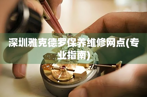 深圳雅克德罗保养维修网点(专业指南)