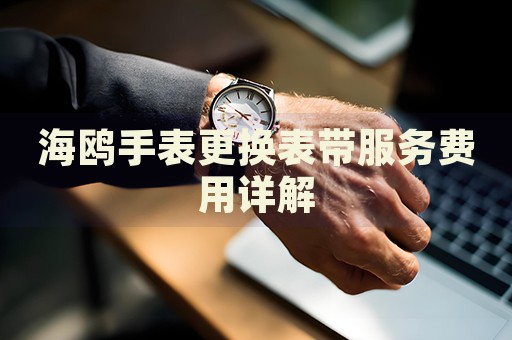 海鸥手表更换表带服务费用详解