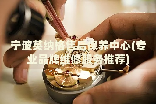 宁波英纳格售后保养中心(专业品牌维修服务推荐)