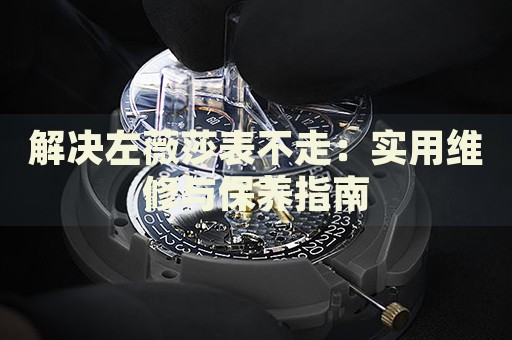 解决左薇莎表不走：实用维修与保养指南