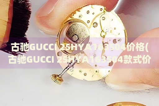 古驰GUCCI 25HYA163504价格(古驰GUCCI 25HYA163504款式价格查询)